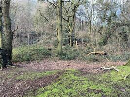 uma vista da zona rural de cheshire em peckforton foto