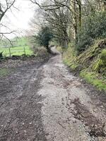 uma vista da zona rural de cheshire em peckforton foto