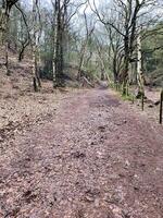 uma vista da zona rural de cheshire em peckforton foto