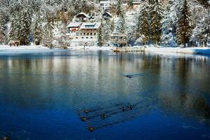 Visão em lago dentro krajska gora foto