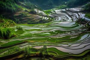 ai gerado arroz Campos em terraço do mu cang chai, yenbai, Vietnã. arroz Campos preparar a colheita às noroeste vietnã.vietnã paisagens. neural rede ai gerado foto