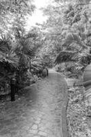 jardim dentro Cingapura foto