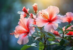 ai gerado hibisco flor belas floresceu com natural fundo foto