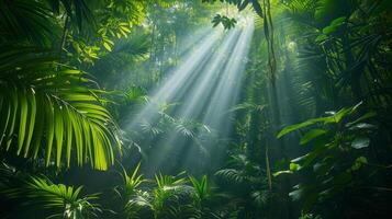 ai gerado ropical chuva floresta panorama com Sol raios emergente Apesar a verde árvore galhos foto