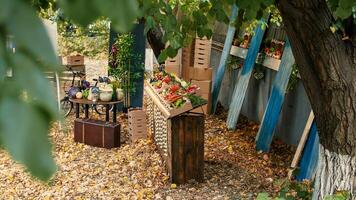 local sazonal produtos às agricultores mercado contador ficar de pé com orgânico agrícola agricultura produzir. vários colorida fresco sazonal frutas e legumes deitado em impedir às rural festival. foto