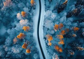 ai gerado uma Nevado estrada dentro a árvores congeladas Nevado panorama foto