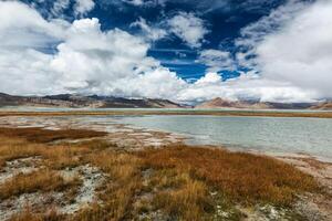 tso carro flutuante sal lago dentro Himalaia foto