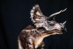 triceratops dinossauro dentro a Sombrio foto