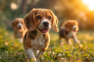 ai gerado corrida beagle cachorros corre em a verde Relva dentro verão foto