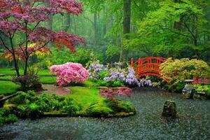 japonês jardim, parque Clingendael, a Haia, Países Baixos foto