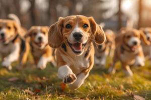 ai gerado corrida beagle cachorros corre em a verde Relva dentro verão foto