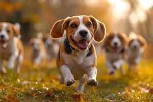 ai gerado corrida beagle cachorros corre em a verde Relva dentro verão foto