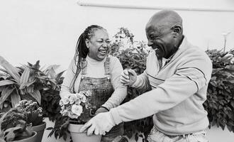 feliz africano Senior pessoas jardinagem juntos às casa - Preto e branco edição foto