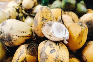amarelo cocos estão vendido dentro a mercado do a ilha do maurício. cortar uma jovem coco com makoto. muitos cocos em a mercado foto