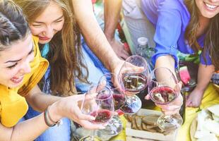 grupo do feliz amigos fazer uma piquenique brindar vermelho vinho óculos. jovem pessoas desfrutando e rindo juntos bebendo e comendo ar livre. amizade, juventude, estilo de vida conceito foto