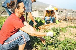 amigos equipe trabalhando juntos dentro uma Fazenda casa - feliz homem colheita fresco legumes dentro a estufa jardim - agricultura, saudável, vegetariano estilo de vida conceito foto