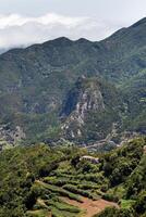 Visão do a montanhas do tenerife. canário ilhas, Espanha foto