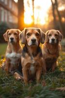 ai gerado retrato do uma beagle cachorro dentro verão em uma verde gramado foto