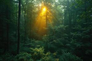ai gerado manhã dentro a floresta. luz solar através a árvores foto