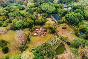 botânico jardim em a paraíso ilha do maurício. Maurícia ilha dentro a indiano oceano foto