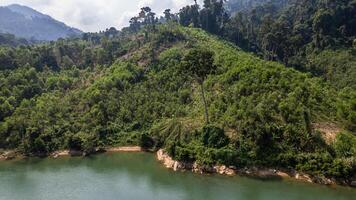 tropical floresta aéreo com beira-rio espaço foto