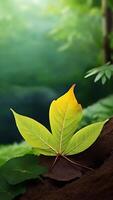 ai gerado natural fundo verde folhas dentro uma floresta, crescimento, Primavera e verão foto