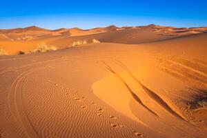 dunas de areia no deserto do saara, merzouga, marrocos foto