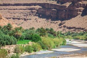 Largo Visão do desfiladeiro e cultivado Campos e Palmeiras dentro errachidia vale Marrocos norte África África foto