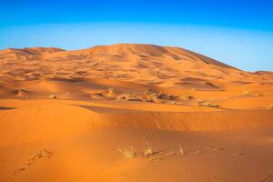 deserto duna às erg chebbi perto merzouga dentro Marrocos. foto