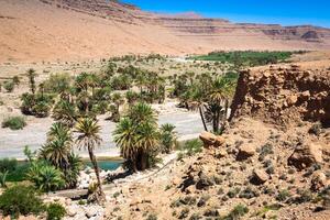 Largo Visão do desfiladeiro e cultivado Campos e Palmeiras dentro errachidia vale Marrocos norte África África foto