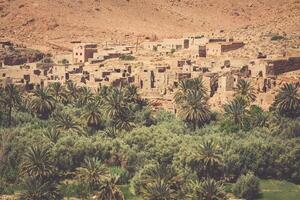 Largo Visão do cultivado Campos e Palmeiras dentro errachidia Marrocos norte África África, profundo azul céu foto