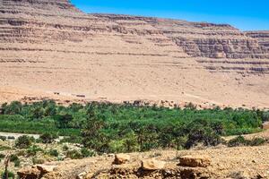 Largo Visão do cultivado Campos e Palmeiras dentro errachidia Marrocos norte África África, profundo azul céu foto