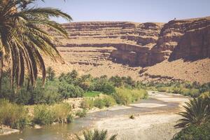 Largo Visão do desfiladeiro e cultivado Campos e Palmeiras dentro errachidia vale Marrocos norte África África foto