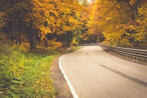 paisagem de outono com estrada e belas árvores coloridas foto