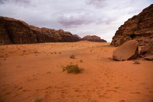 wadi rum deserto dentro Jordânia. em a pôr do sol. panorama do lindo areia padronizar em a duna. deserto panorama dentro Jordânia. foto