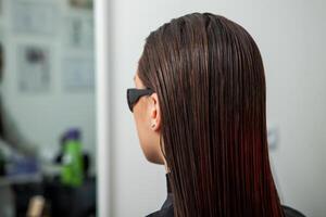 retrato do uma lindo mulher com grandes Castanho em linha reta cabelo dentro uma beleza salão. foto