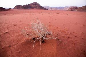 wadi rum deserto dentro Jordânia. em a pôr do sol. panorama do lindo areia padronizar em a duna. deserto panorama dentro Jordânia. foto