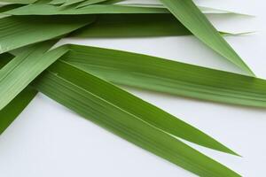 uma culinária odisséia com a lindo Pandan folha, infundindo delicado aromas e vibrante verde matizes para dentro requintado pratos, elevando sabor perfis com da natureza fresco elegância foto