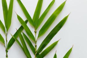 abraçando a fascinar do lindo bambu folhas, Onde gracioso verde lâminas dança dentro harmonioso sinfonia, criando uma tranquilo oásis do da natureza equilíbrio e Eterno beleza foto