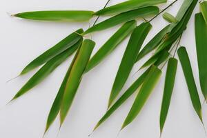 abraçando a fascinar do lindo bambu folhas, Onde gracioso verde lâminas dança dentro harmonioso sinfonia, criando uma tranquilo oásis do da natureza equilíbrio e Eterno beleza foto