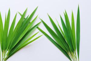 uma culinária odisséia com a lindo Pandan folha, infundindo delicado aromas e vibrante verde matizes para dentro requintado pratos, elevando sabor perfis com da natureza fresco elegância foto