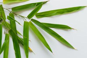 abraçando a fascinar do lindo bambu folhas, Onde gracioso verde lâminas dança dentro harmonioso sinfonia, criando uma tranquilo oásis do da natureza equilíbrio e Eterno beleza foto