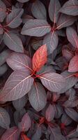 ai gerado natureza fundo topo Visão do vibrante vermelho folhas ao ar livre vertical Móvel papel de parede foto