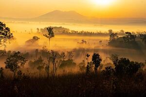panorama do thung Salaeng luang nacional parque phetchabun província lindo natureza do nascer do sol e manhã névoa dentro a savana dentro inverno estação tailândia. foto