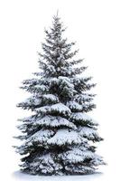 foto de estúdio brilhante de árvore de Natal decorada em azul e prata com presentes em branco