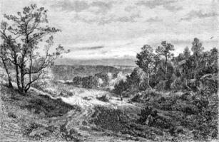 1852 exibição do pintura, paisagem, vintage gravação. foto