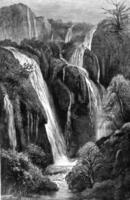 cascatas tifrito wadi, Argélia, vintage gravação. foto