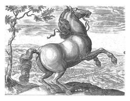 cavalo a partir de toscana, vintage ilustração. foto