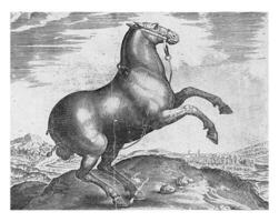 cavalo a partir de cita, vintage ilustração. foto