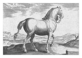 cavalo a partir de Flandres, vintage ilustração. foto